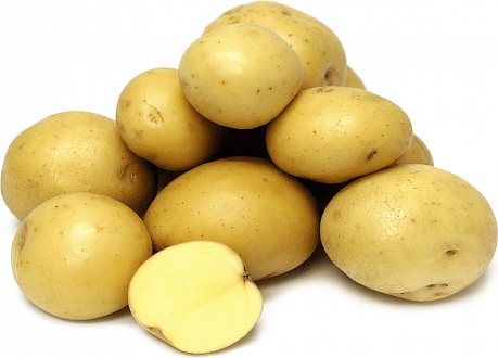 Картофель семенной Гала