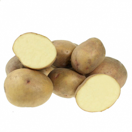 Картофель семенной Лорх