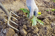 ТОП-10 советов по подготовке почвы к весне