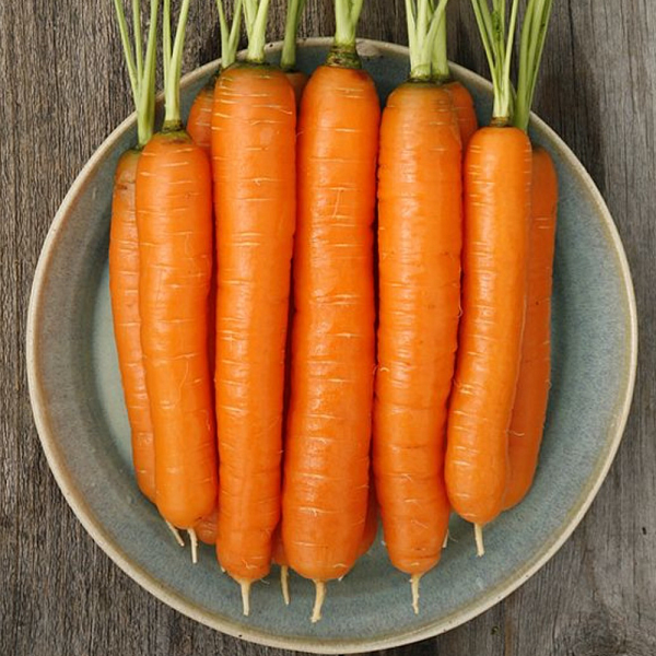 Морковь Наполи F1 фото 2 