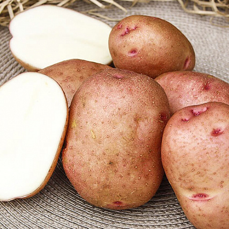 Картофель семенной Гранд